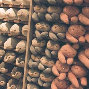 Meet your Posher, Muna